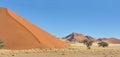 Grass, dune and mountain panorama near Sossusvlei,