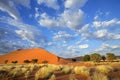 Grass, dune and sky, Nambia Royalty Free Stock Photo