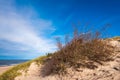 Grass dunes and beautiful beach with white sand. Royalty Free Stock Photo