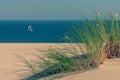 Grass in the dunes of a sailboat in the sea Royalty Free Stock Photo