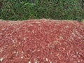grass edge red garden mulch wood chips cut woodchips groundcover landscaping backyard Royalty Free Stock Photo