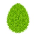 Grass egg symbol Royalty Free Stock Photo