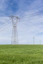 Grass and electricity Royalty Free Stock Photo