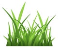Grass element. Green eco symbol. Lawn sign