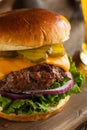 Grass Fed Bison Hamburger Royalty Free Stock Photo