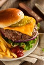 Grass Fed Bison Hamburger Royalty Free Stock Photo