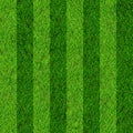 Grass field background