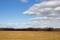 Grass Field with Blue Sky and Small White Clouds Royalty Free Stock Photo