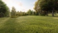 Grass field in the center of the forest