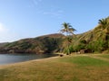 Grass field with coconut trees on Hanauma Bay Beach