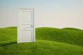 Grass field with a door Royalty Free Stock Photo