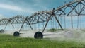 Grass field irrigated by a pivot sprinkler system i