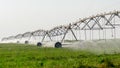 Grass field irrigated by a pivot sprinkler system in Qatar. selective focus