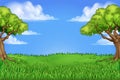 Grass Field Park Background With Trees Landscape