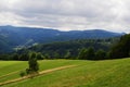 Grass field with field road, solitary tree and forest in background near Dolni Lomna in Czech Republic during cloudy late summer a Royalty Free Stock Photo