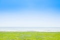 Grass field by the sea, Taitung, Taiwan. Royalty Free Stock Photo