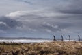 Grass field with security perimeter fence by ocean, Beautiful cloudy sky. Property and asset security concept