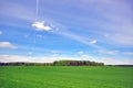 Grass field and sky Royalty Free Stock Photo