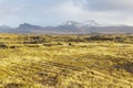 Grass field at the Snaefellsnes peninsula.