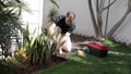 Plumber Man fixing Sprinkler Head in backyard