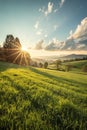 Grass Field and Sunshine Royalty Free Stock Photo
