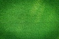 Grass field texture for golf course, soccer field or sports background concept design.