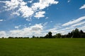 Grass field and trees