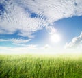 Grass fields and clouds sky in beautiful day Royalty Free Stock Photo