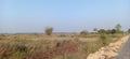 Grass fields structure tree and plant in rajnagar madhubani India