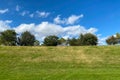 Grass filled hill with bright lush trees on horizon with puffy white clouds and sunny blue sky Royalty Free Stock Photo