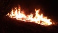 Grass fire Royalty Free Stock Photo