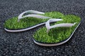 Grass flip-flops