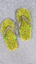Grass flip flops Royalty Free Stock Photo