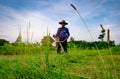 Grass flower on blurred man with shoulder lawn mower. Asian man cutting grass with lawn mower. Garden care and maintenance.