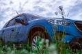 Grass flower with green leaves on blurred low angle view of blue SUV car. Luxury SUV car parked outside with white sky and clouds Royalty Free Stock Photo