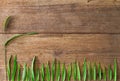 Grass flower and green leaves on dirty grunge vintage wooden background Royalty Free Stock Photo