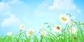 Grass flower, sky, clouds vector flat background Royalty Free Stock Photo