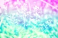 Grass flower   soft focus   spring nature   background with blue and violet ,pink color filter Royalty Free Stock Photo