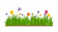 Grass and flowers border, greeting card decoration element White Background. Vector Illustration Royalty Free Stock Photo