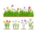 Grass and flowers border, greeting card decoration element White Background. Vector Illustration Royalty Free Stock Photo