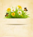 Grass with flowers on old paper background. Royalty Free Stock Photo