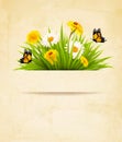 Grass with flowers on old paper background. Royalty Free Stock Photo