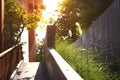 Grass flowers side of slope ramp walk way with sun light,selective focus Royalty Free Stock Photo