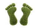 Grass footprint Royalty Free Stock Photo