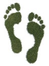 Grass footprints Royalty Free Stock Photo