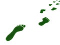 Grass footprint Royalty Free Stock Photo