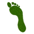 Grass Footprint Royalty Free Stock Photo