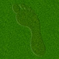 Grass Footprint Royalty Free Stock Photo