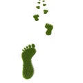 Grass footprint Royalty Free Stock Photo