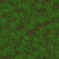 Grass generated seamless texture